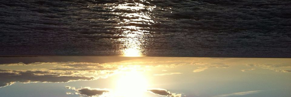 David Eslava banner