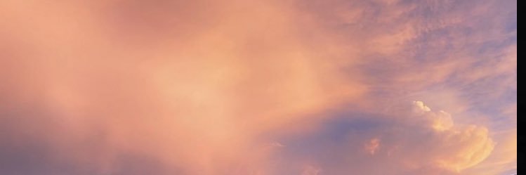 martx_16's profile banner image