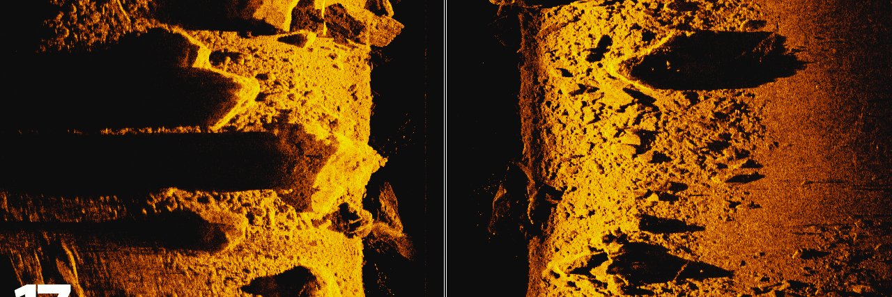 Humminbird_ES's profile banner image