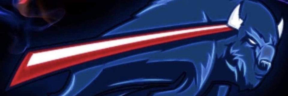 suzanne_trala's profile banner image