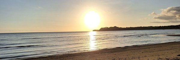 RobertWojcikJr Profile Banner