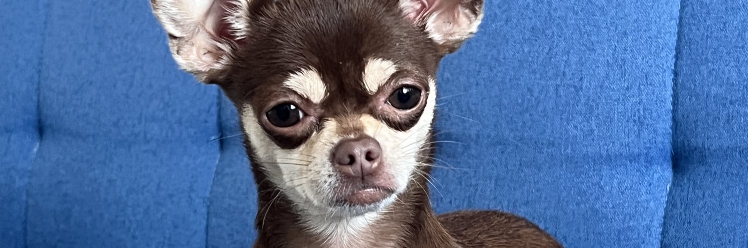 Jacquiieta's profile banner image