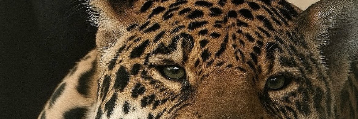 marmello19's profile banner image