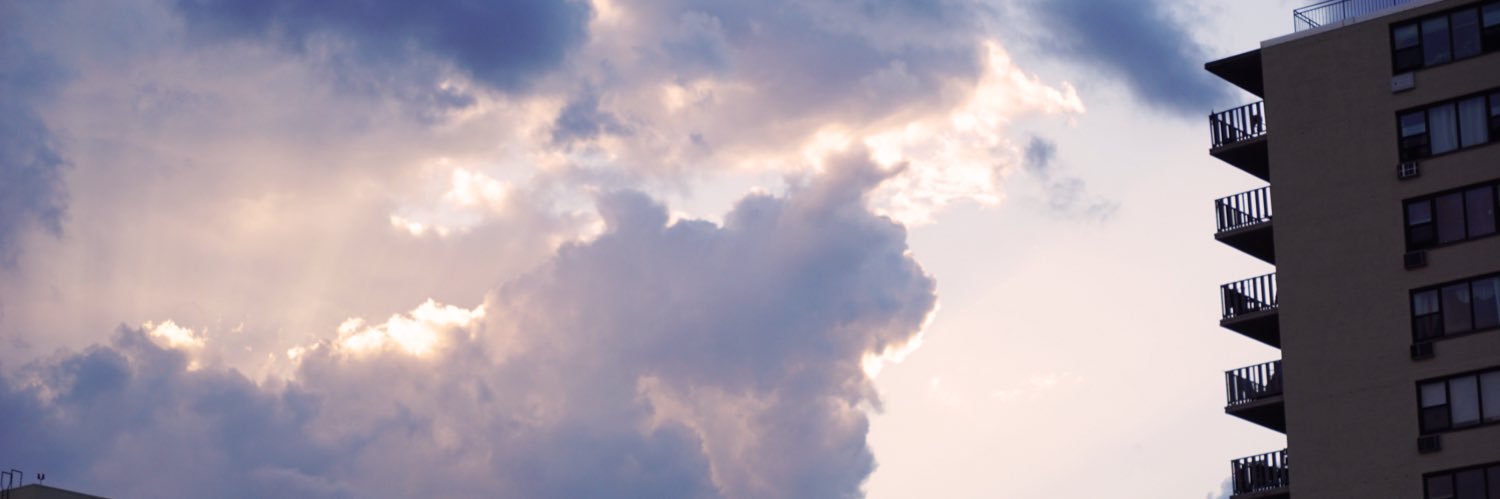 manuela vega's banner