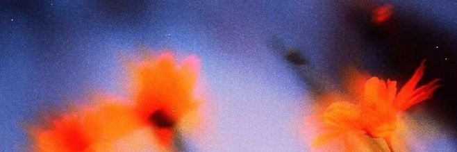 am_rebaph's profile banner image