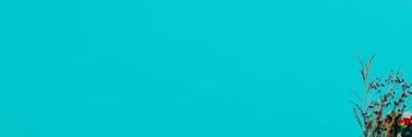 ออกัส banner