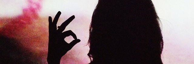 Angelina banner