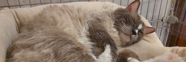 tw7191 Profile Banner