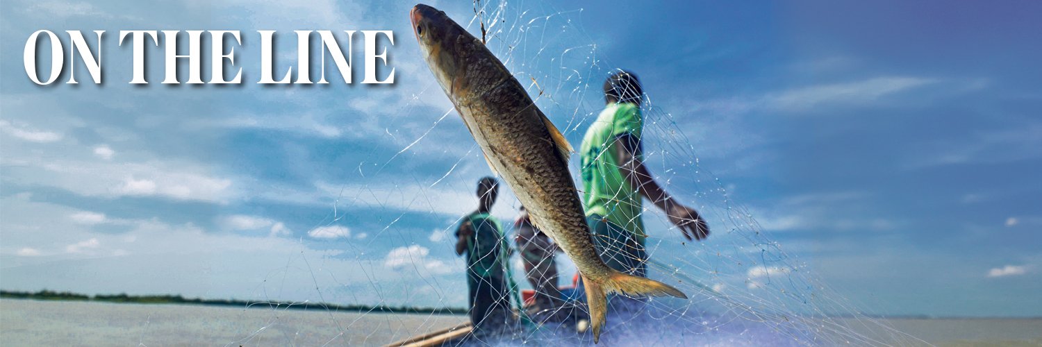 Mint Lounge banner