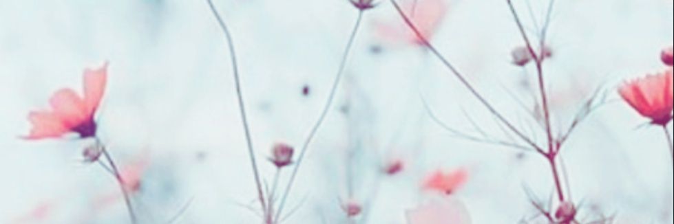 AUTOUPFOLL banner
