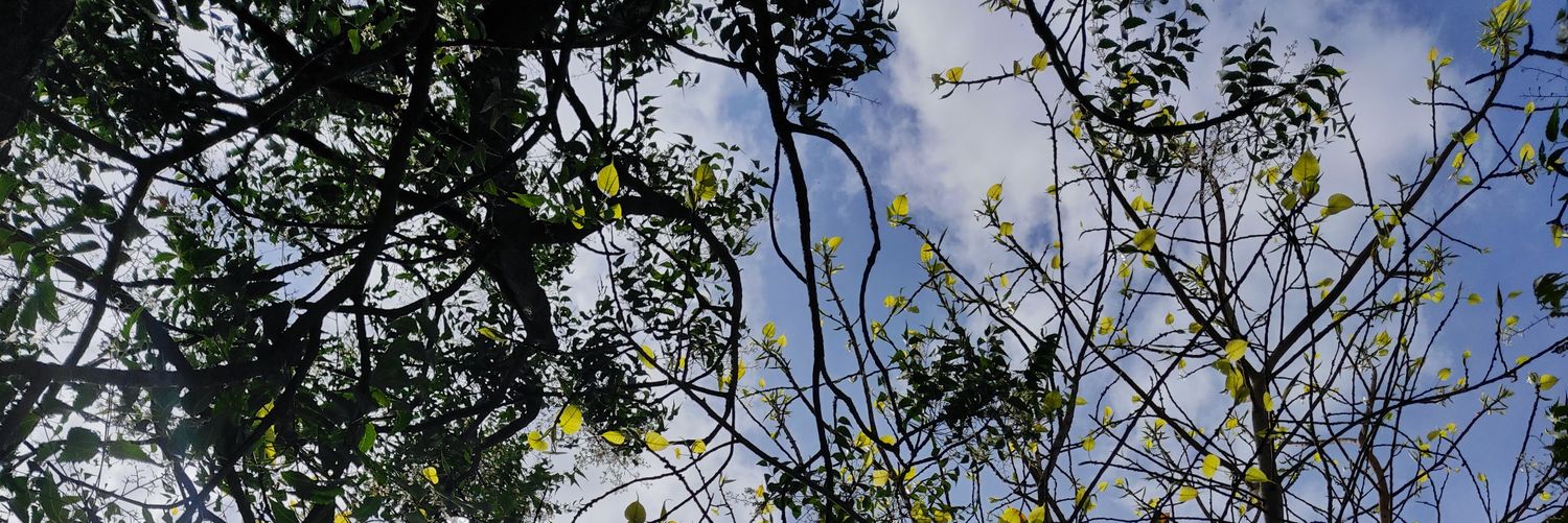 imkaatiyar's profile banner image