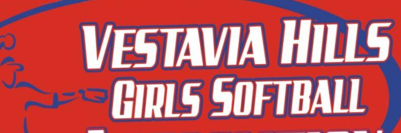 VHGSA's profile banner image
