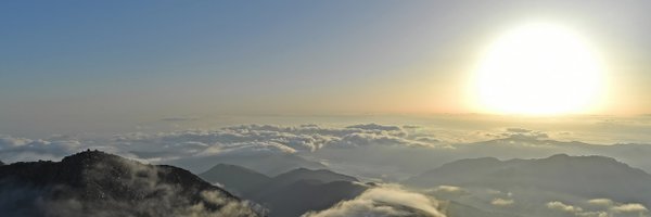 c_hocknews Profile Banner