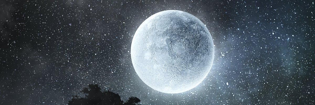 why_bur's profile banner image