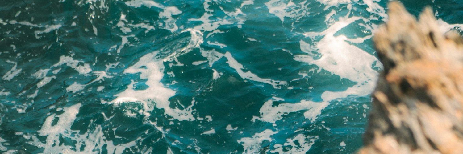 StanzaAndStance banner