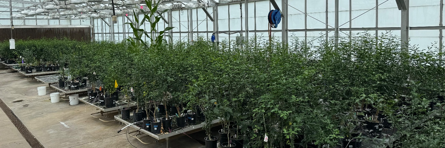 Benoit Mermaz 🇫🇷 🧬🔬🍊 banner