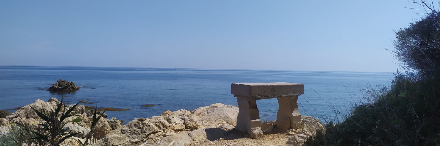 MichelePBoella's profile banner image