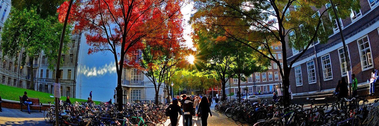 Harshul हर्षुल 🌸 banner