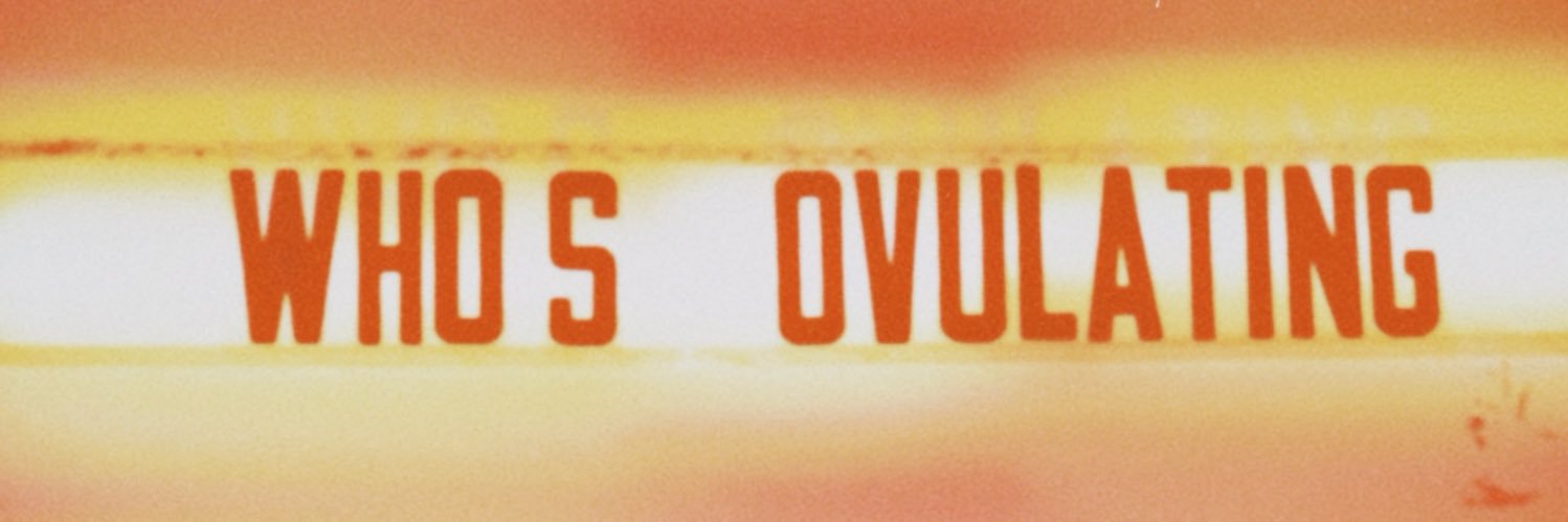KING S banner