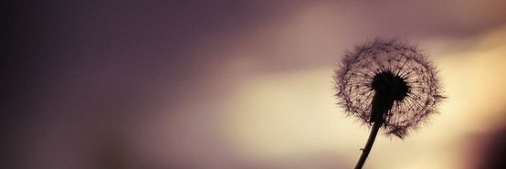 Jburdick1's profile banner image