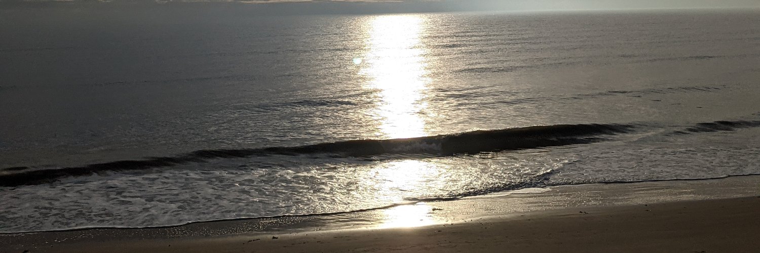 TSFMAjax's profile banner image