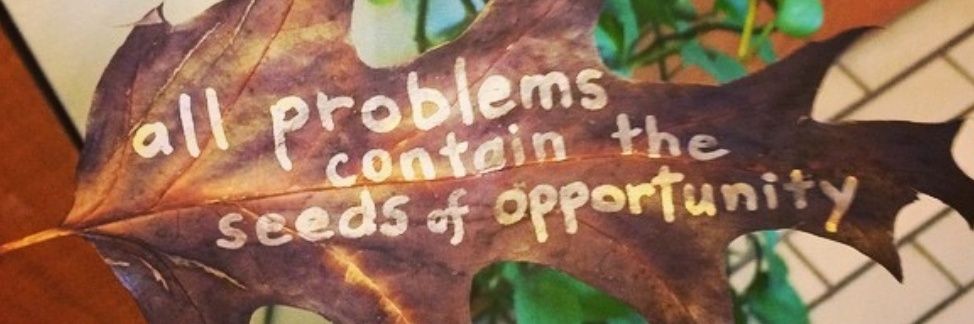 WiscoCarrie banner