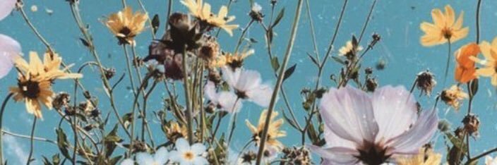 pwitapwitty's profile banner image