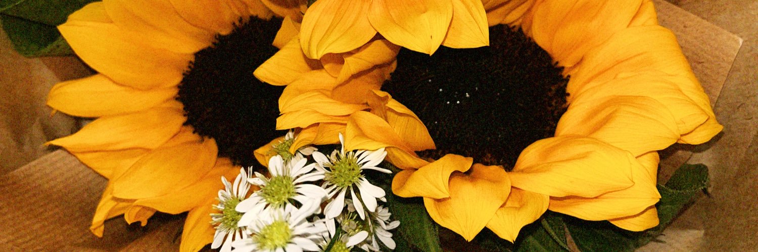 JoanaMelo_'s profile banner image