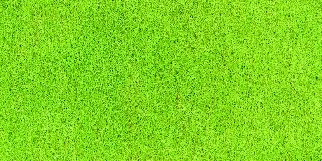 misokatu2001's profile banner image