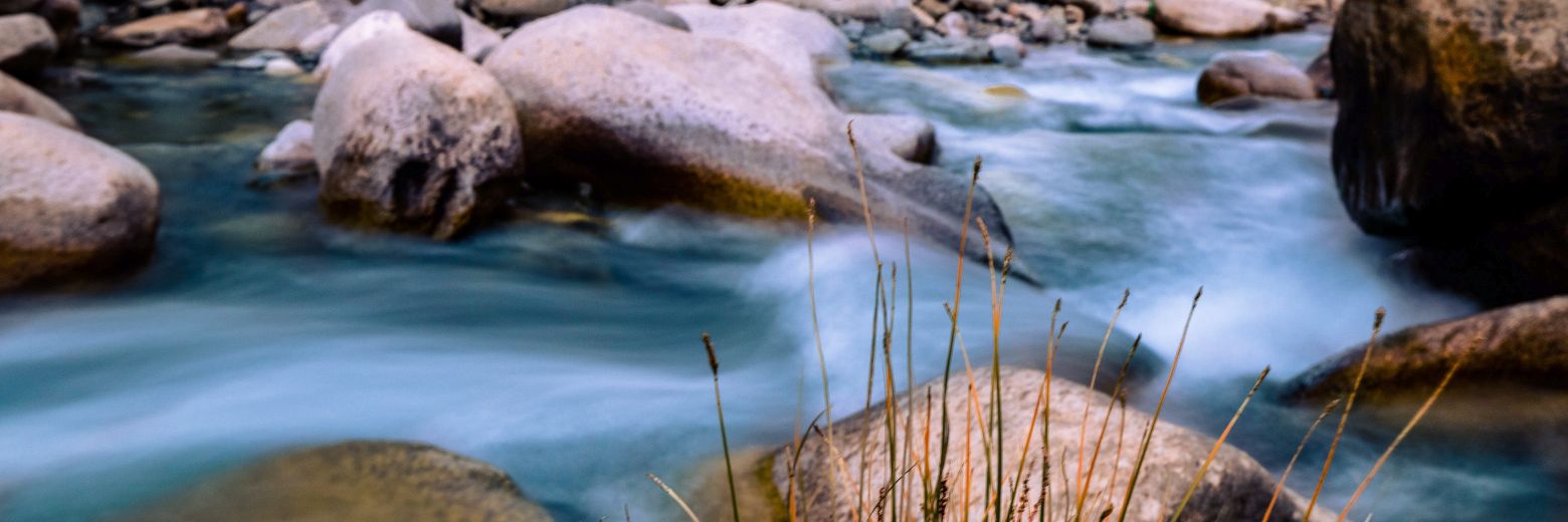 fotofilepanda's profile banner image