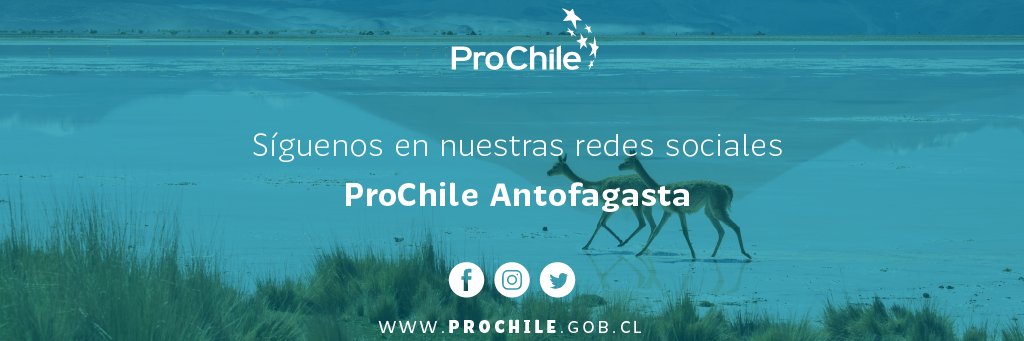ProChile_Antofa's profile banner image