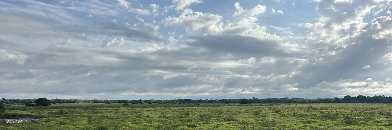 sergio_Nieto98's profile banner image