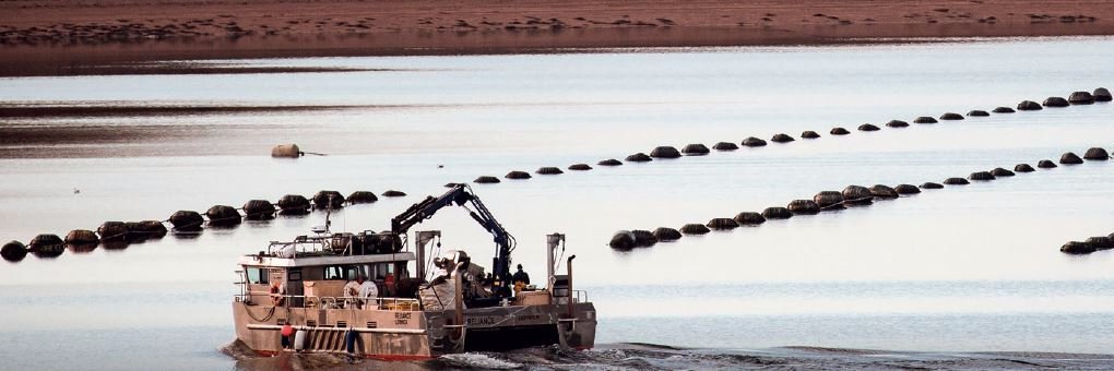 Shetland Select banner