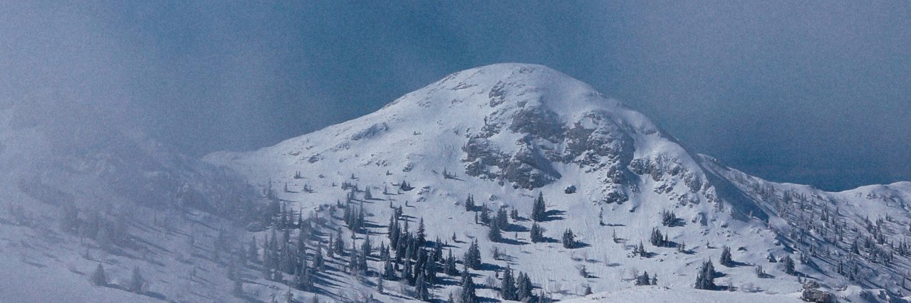 qinthebean's profile banner image