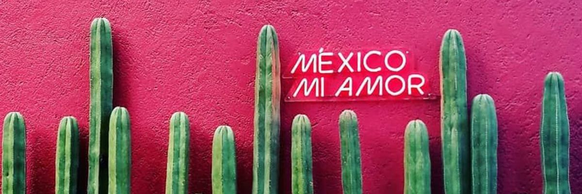 Gabo ku banner