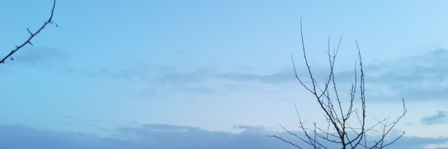Perd1989's profile banner image
