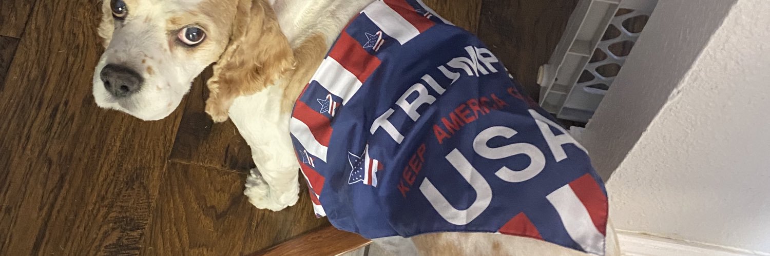 Barbara Browne banner