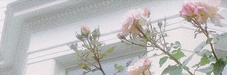 highlybts's profile banner image