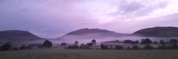 TheMildRover Profile Banner