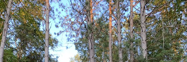 sikeitskb Profile Banner