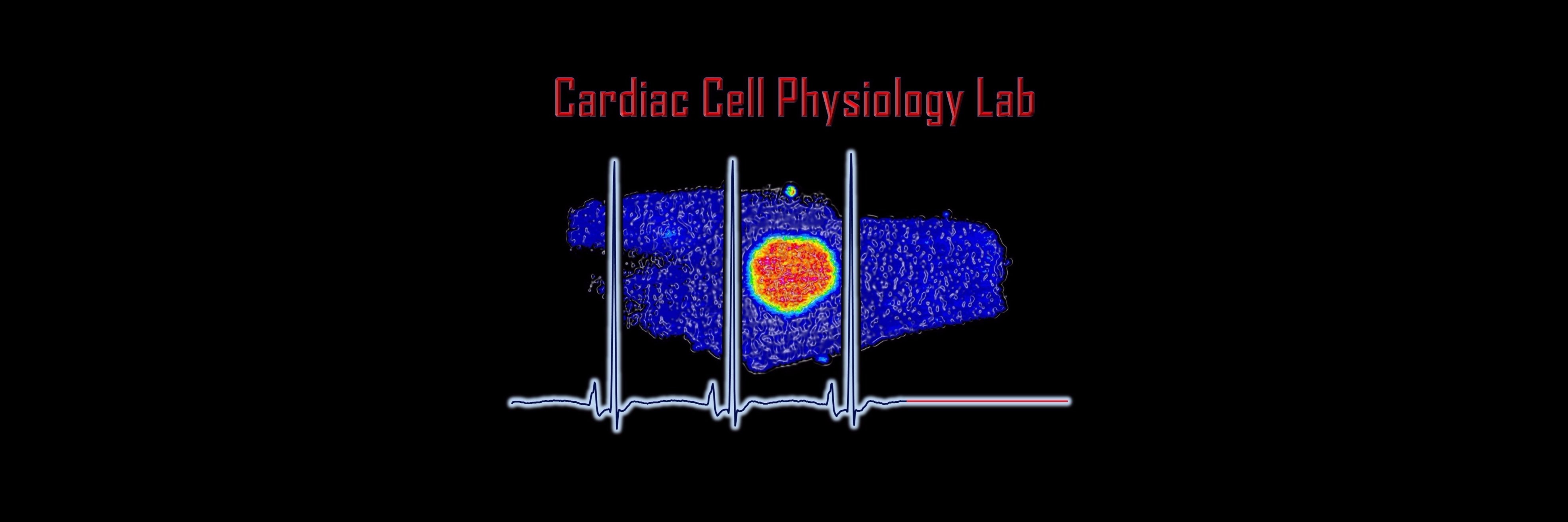 CardiacCellPhys banner