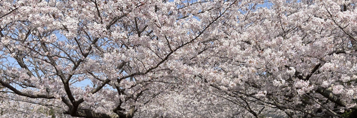 なぁね🕊️NO WAR banner