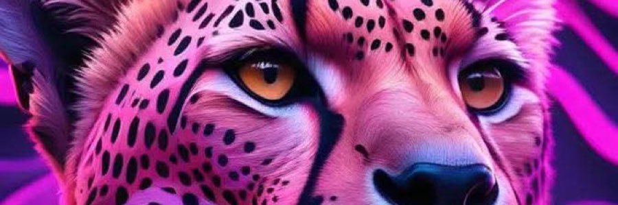adekoya_k's profile banner image