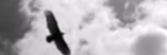 Pyperline's profile banner image