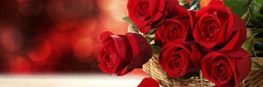 taslea72's profile banner image