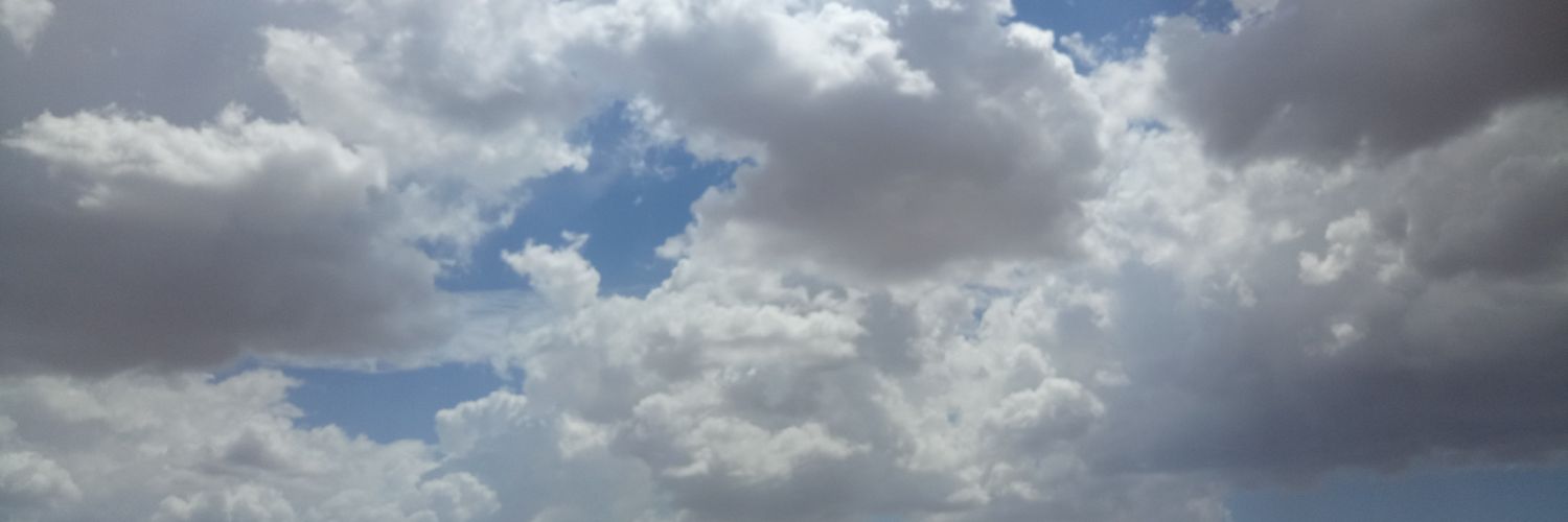 neda_2002's profile banner image
