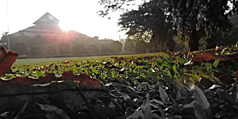 D147_RN's profile banner image