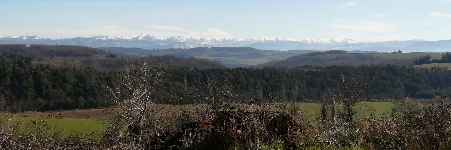 Catherine S φ ✌️🐢🍉 banner