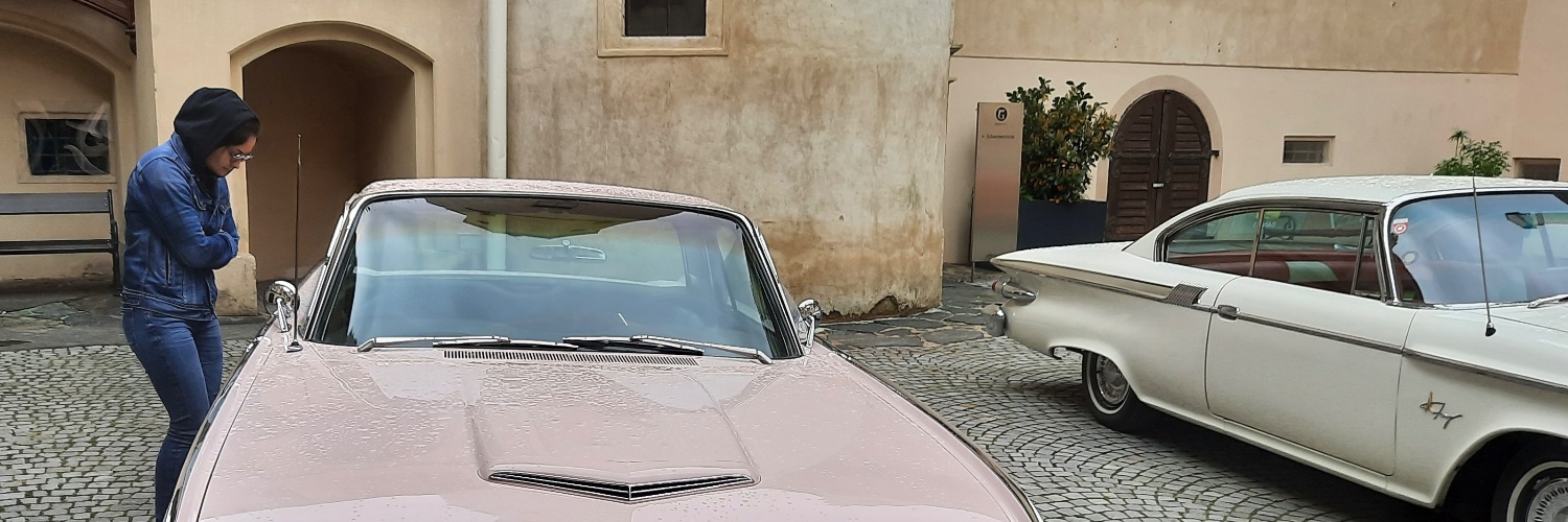 garagepeppers's profile banner image