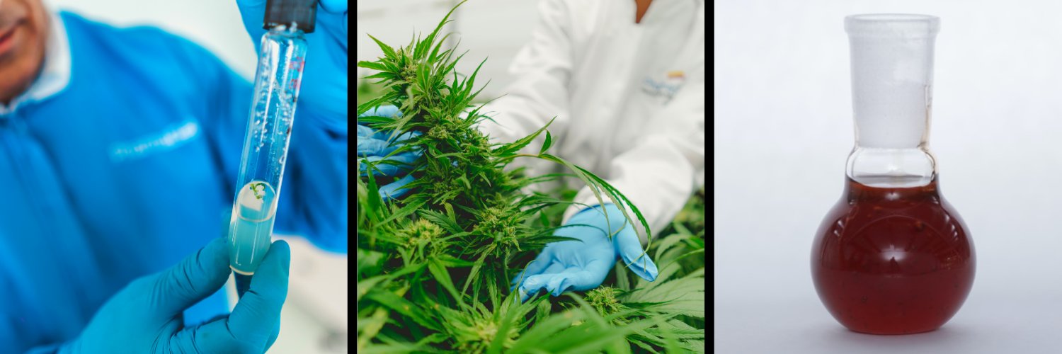 PharmaCielo banner